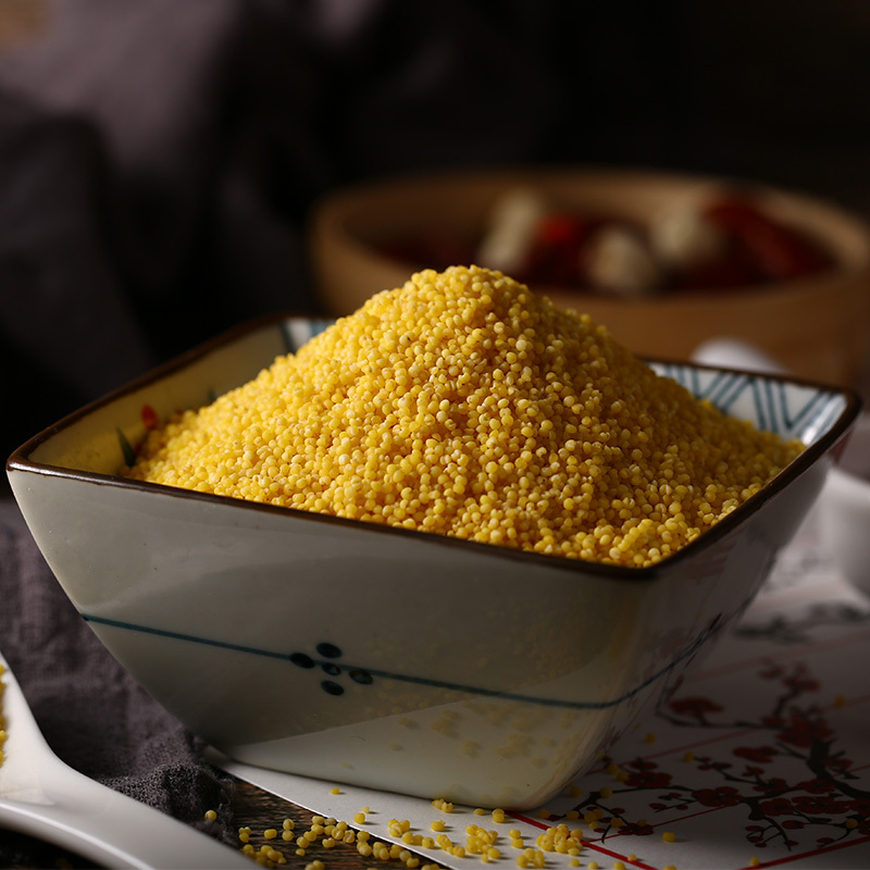 富昌 黄小米500g 八宝米 五谷杂粮 粗粮 小米粥 二米饭