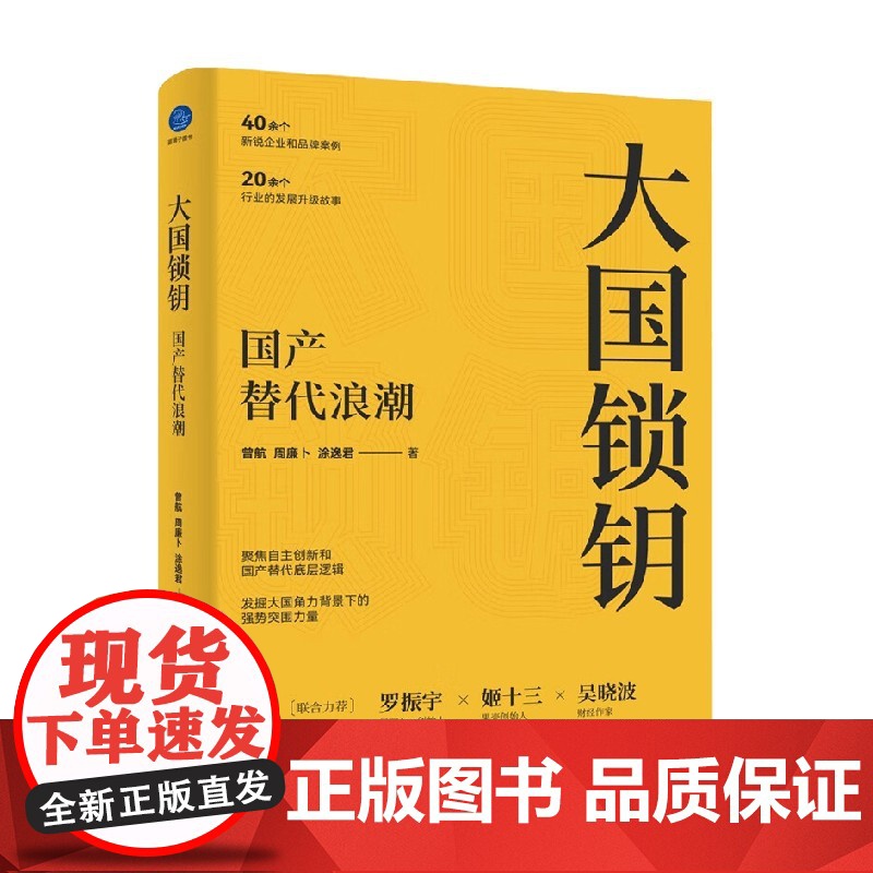 大国锁钥 国产替代浪潮 曾航等 著 罗振宇姬十三吴晓波 聚焦自主创新 国产替代底层逻辑 经济高清大图