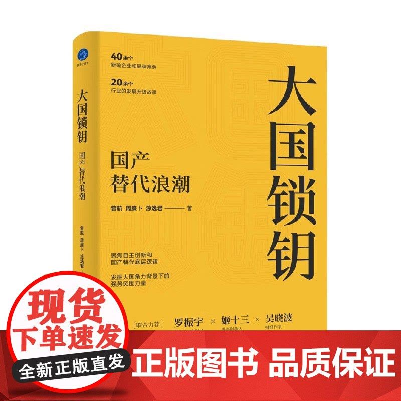 大国锁钥 国产替代浪潮 曾航等 著 罗振宇姬十三吴晓波 聚焦自主创新 国产替代底层逻辑 经济图片