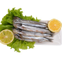 多春鱼 多春鱼满籽 新鲜大多春鱼 海鱼 顺丰运输 3KG