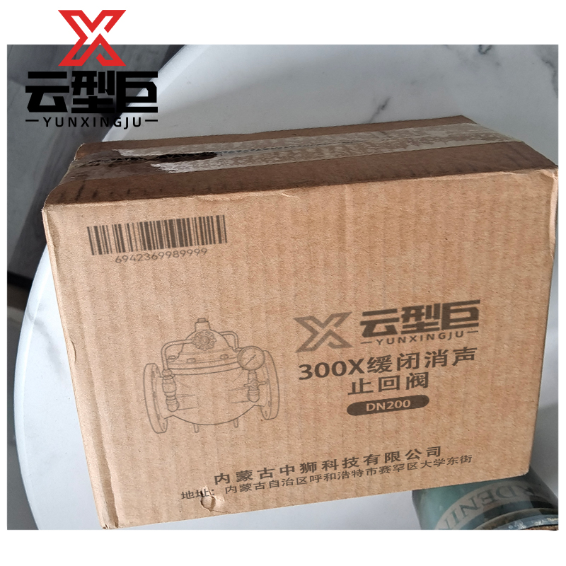 云型巨 300X缓闭消声止回阀 DN200 个高清大图
