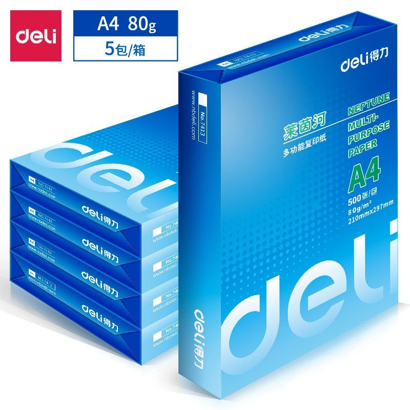 得力(deli)7419 莱茵河 80g A4 复印纸 打印纸 标签 500张/包 5包/箱(整箱2500张)(箱)