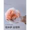 浴花小号沐浴球柔软可爱成人洗澡球泡沫韩版不散花家庭清洁 混搭色 任选4个颜色备注
