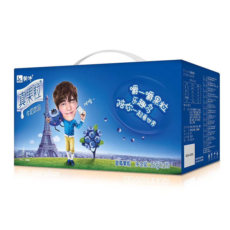 蒙牛 真果粒牛奶饮品(蓝莓)250ml*12盒