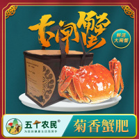 [精品]固城湖大闸蟹开湖尝鲜装 3公2母6只装 限江浙沪皖 鲜活到家
