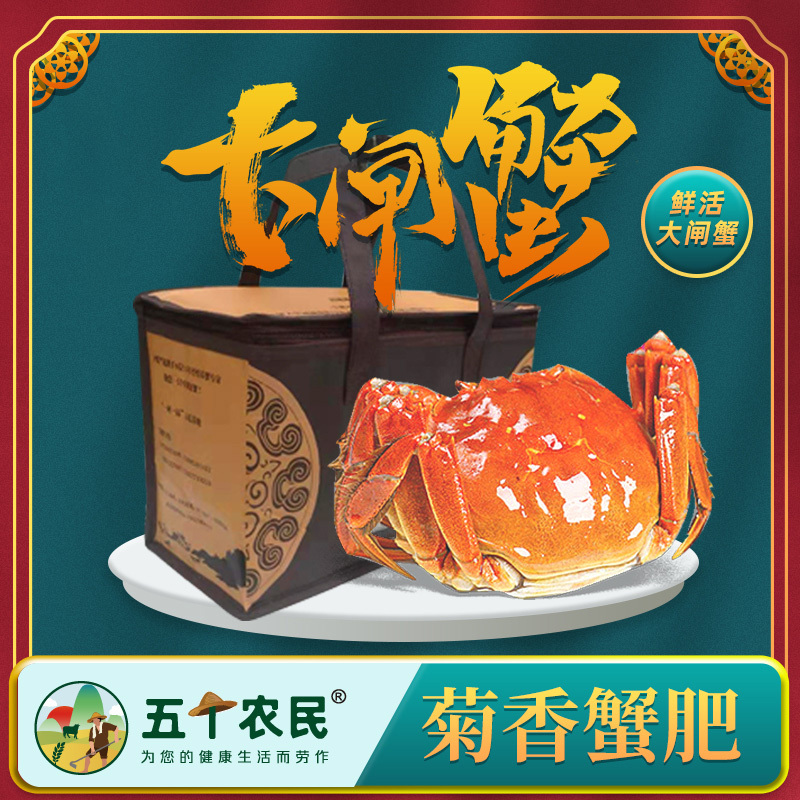 [精品]固城湖大闸蟹开湖尝鲜装 3公2母6只装 限江浙沪皖 鲜活到家