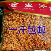 北虫花金虫子实体蛹虫正品干货一斤煲粥汤精品食材直销