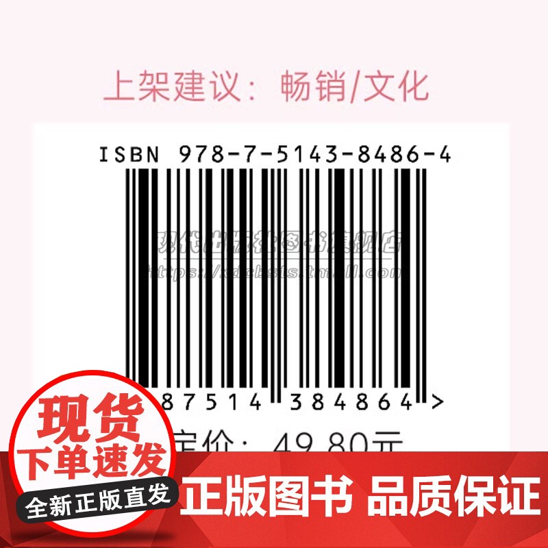 赝品有艺术价值吗 美学通识讲义 美学和哲学合二为一阐述解决美学中悖论从哲学的角度探索艺术和美赝品美学入门书籍XD高清大图