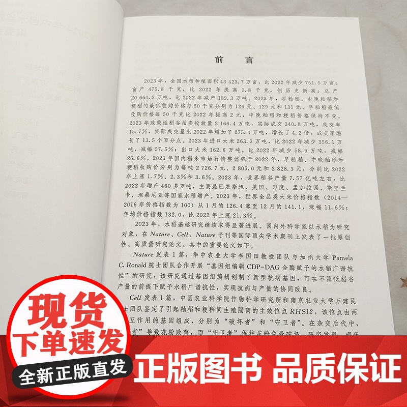 2024年中国水稻产业发展报告 水稻转基因技术研究动态 中国水稻生产发展动态 中国稻米市场与贸易动态 稻田生态与环境调控高清大图