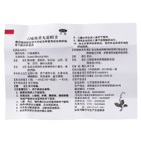 九芝堂 六味地黄丸水密丸120克