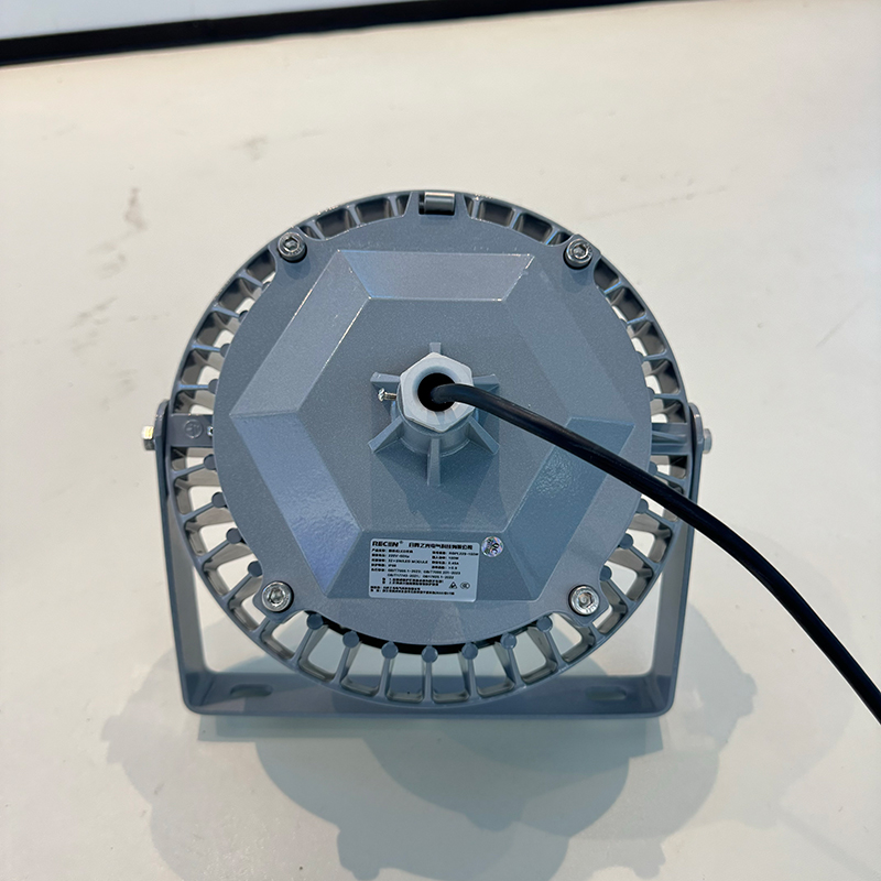 RECEN RGPL229-100W 固定式LED灯具 个高清大图