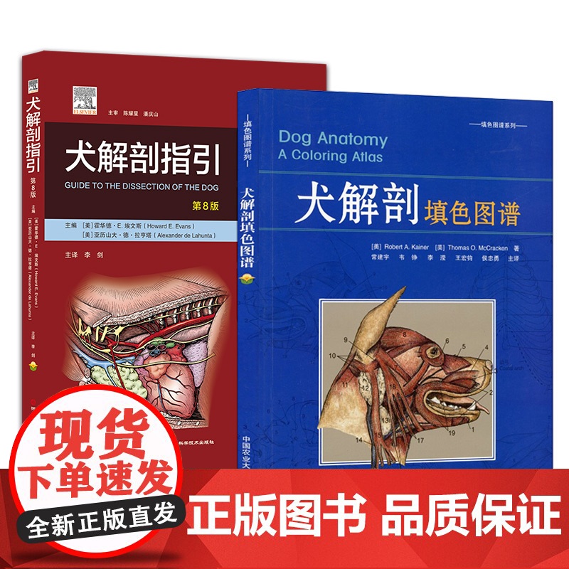 全新正版 套装 2本犬解剖填色图谱 犬解剖指引 第8版 9787565518225 犬猫解剖 小动物解剖指引 动物解剖书高清大图