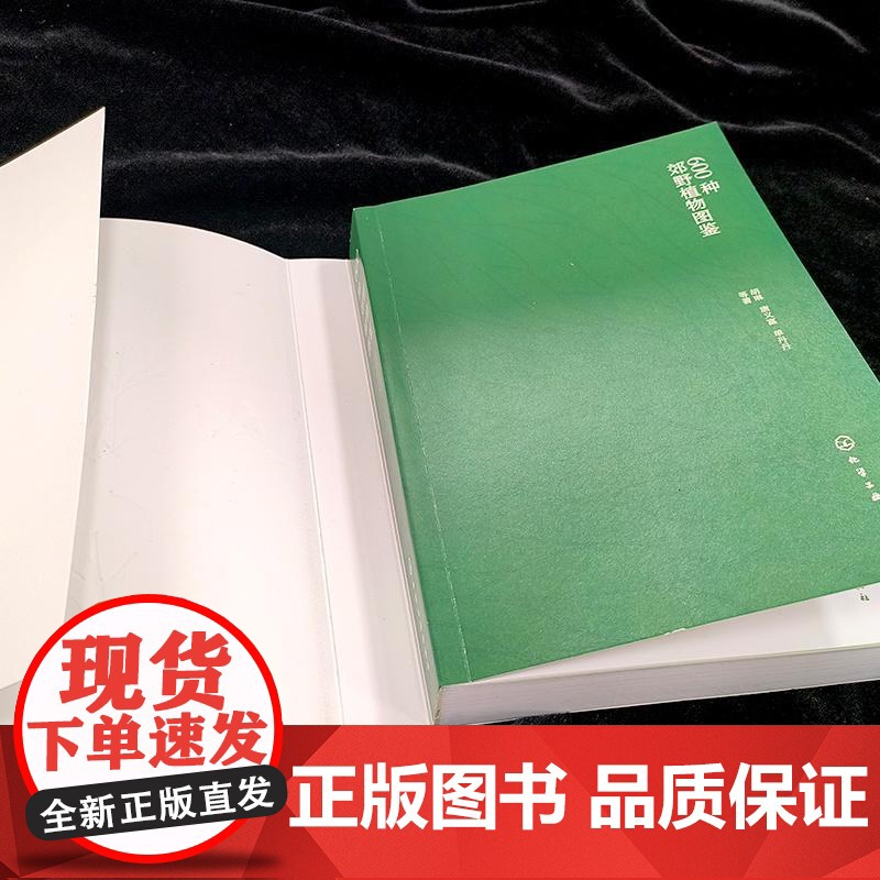 600种郊野植物图鉴 常见植物野外识别 植物识别大百科 野外实拍彩图 树形枝叶植物花卉种子观察图鉴风景郊野旅游植物科普大高清大图