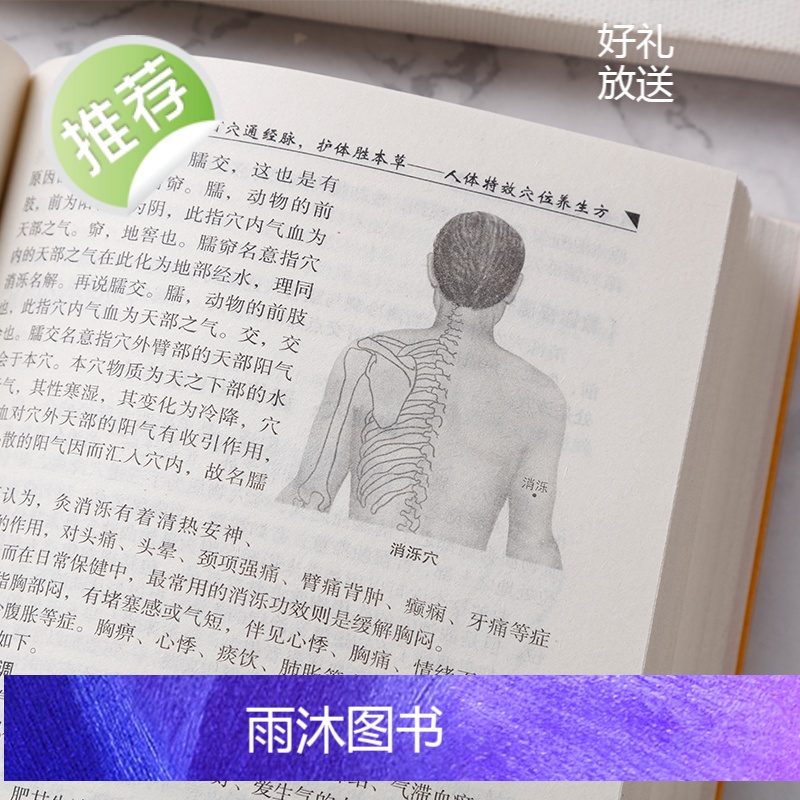 养生大系--人体经络大全图解手法 经络穴位快速记忆 全身经络书籍大全 零基础入门学会手法筋络中医养生 经络图册使用手册常高清大图