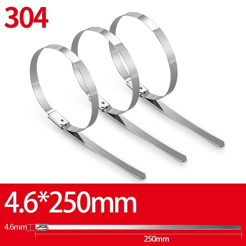 迦毅304不锈钢扎带4.6x250mm根高清大图