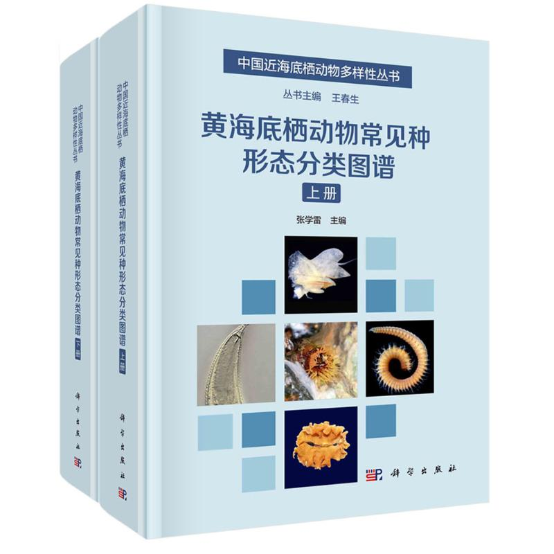 [M]黄海底栖动物常见种形态分类图谱(上下册)-9787030737328高清大图