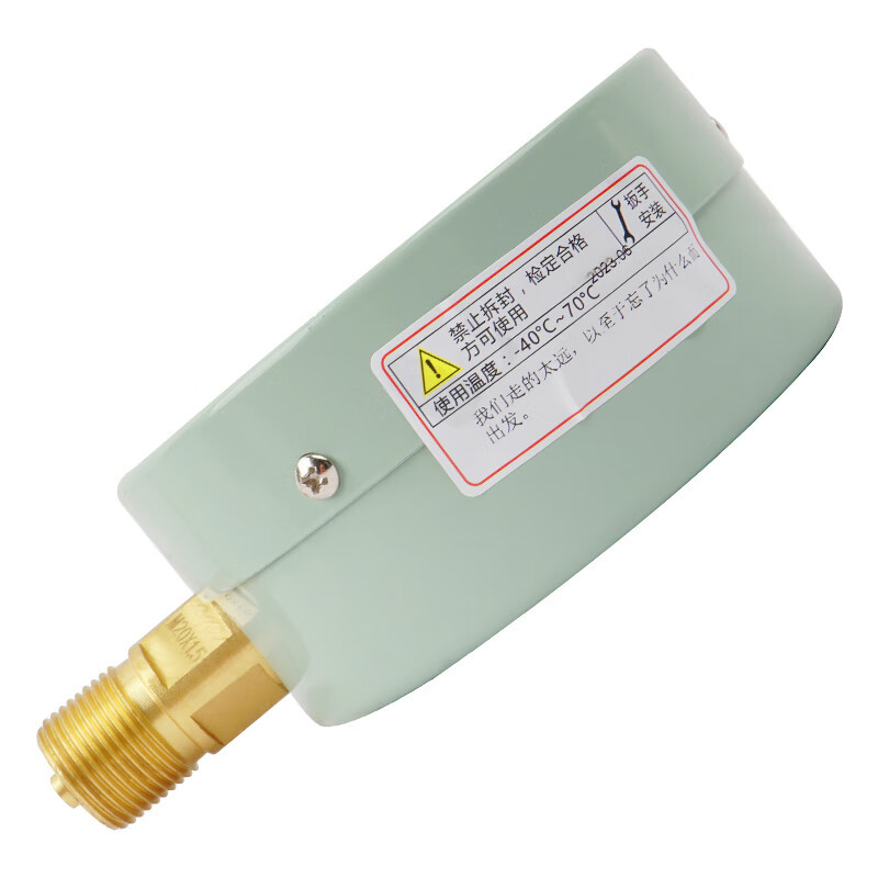 红旗 压力表Y-100 0-1.6MPA M20*1.5 表盘10cm/高清大图