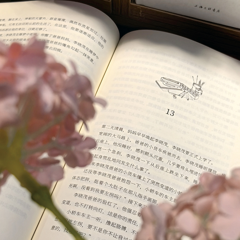 在城中 [正版] 在城中 展现留守儿童从乡村到城市的心路历程 给9-15岁儿童的勇气之书 揭示城乡差异与社会问题 儿童文