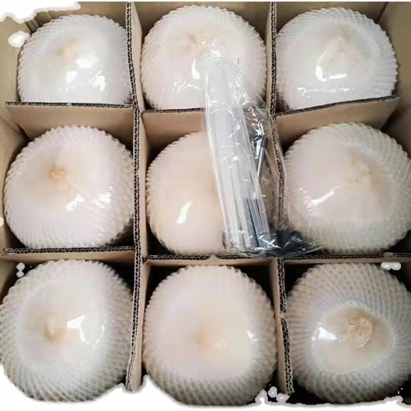 (送开椰器)海南椰青新鲜椰子6个大果装(单果1000g)去皮香水椰孕妇水果高清大图
