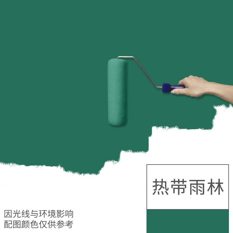 好秀家涂料水性硅藻泥涂料内墙乳胶漆室内彩色墙面漆硅藻乳家用乳胶漆油漆墙纸 1kg热带雨林(送滚筒、美纹纸)