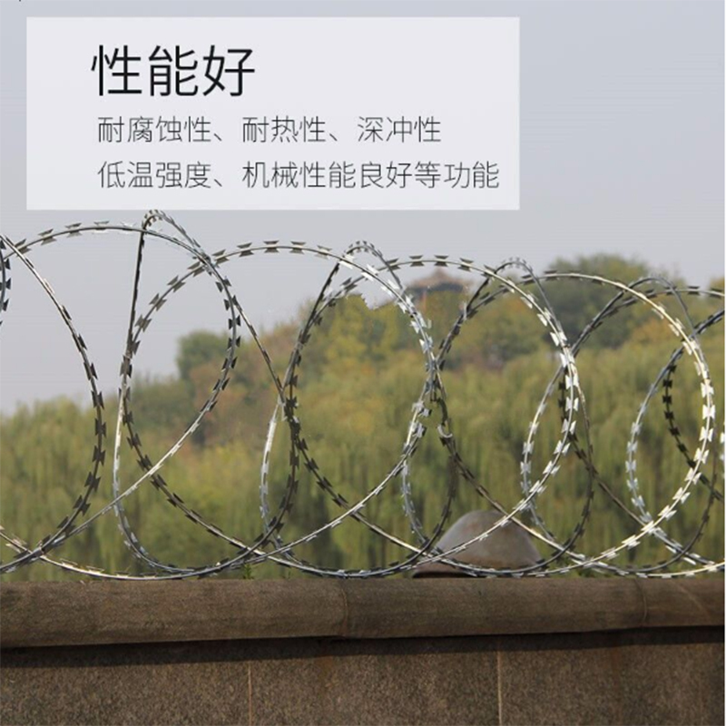 刺绳防盗网围栏钢丝刺绳刀片刺铁丝防爬刺网刺丝滚笼刺网 国标双螺旋圈径90加密10米长