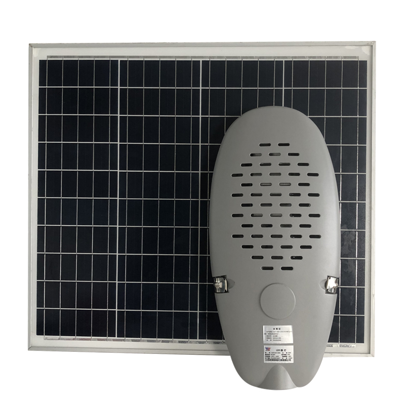欧辉照明 (OHUIZAOMIN) LED路灯 (带6米灯杆 含安装)OHFC2H-50W 个