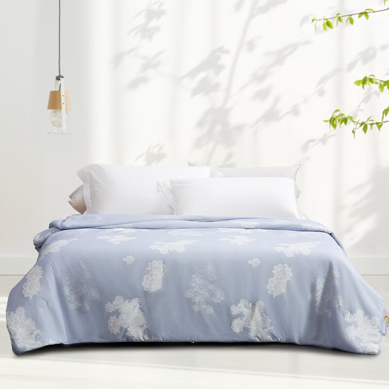 水星家纺蚕丝被春秋被双人被子DH 若影雅致蚕丝被(宁静蓝) 200X230cm/条高清大图