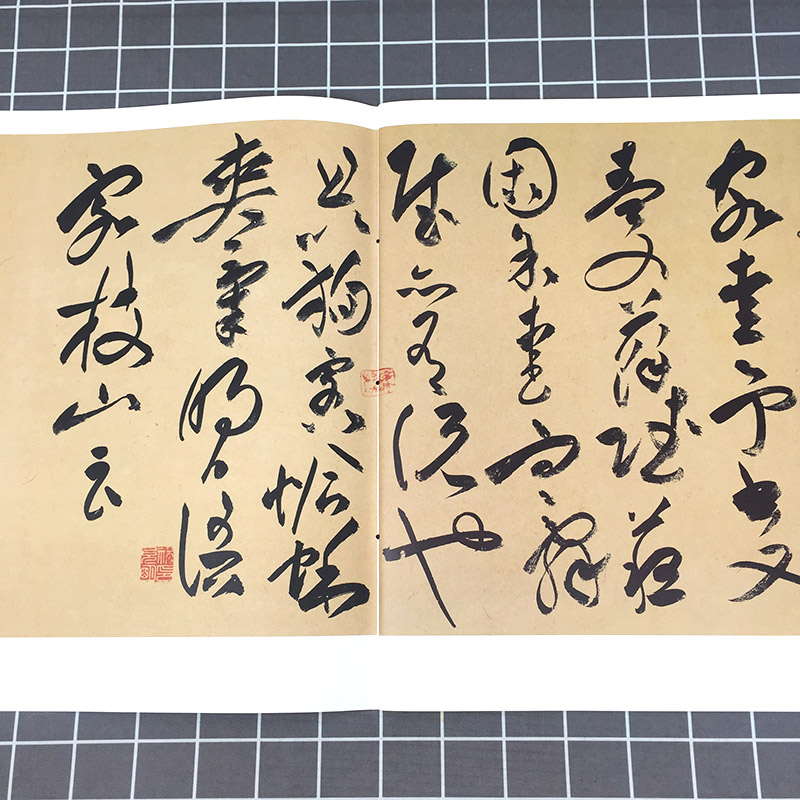 [正版]祝允明书前后赤壁赋 彩色放大本中国著名碑帖 孙宝文编 书法篆刻 书法碑帖 书法爱好者字帖 鉴赏收藏 上海辞书高清大图