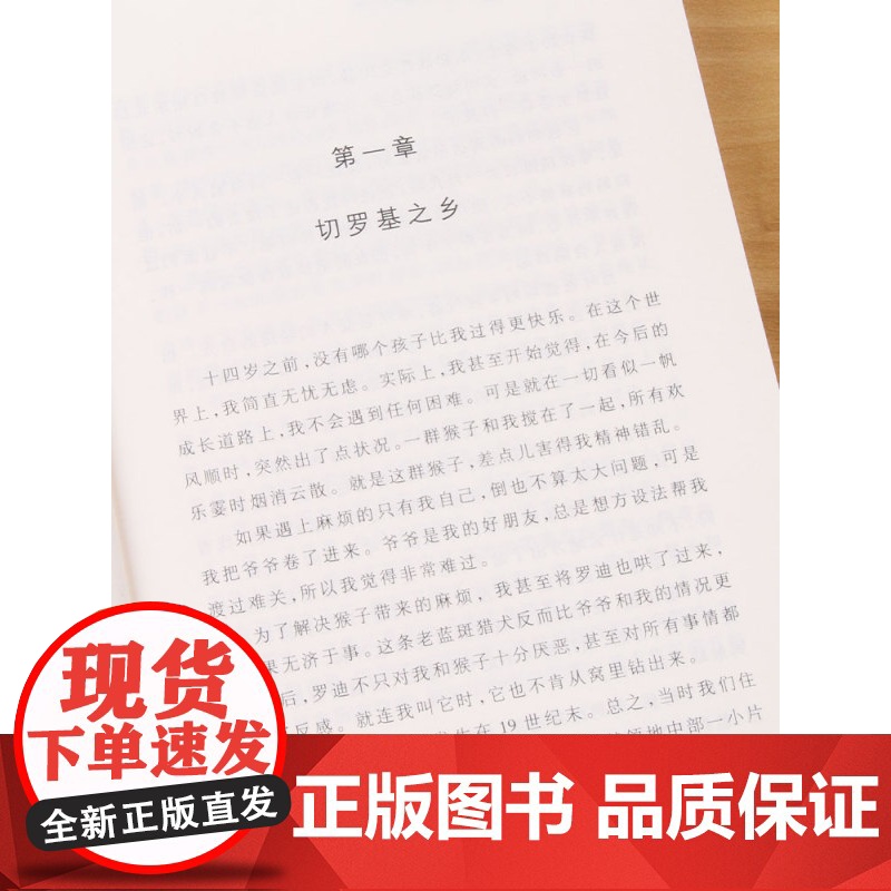 夏日历险记 大奖小说成长版 二三四五六年级小学生课外阅读书籍 6-12儿童故事书籍 儿童成长励志故事书 新蕾出版社高清大图