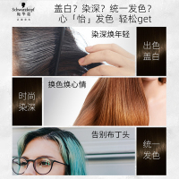 Schwarzkopf 施华蔻染发剂怡然植物无氨健康染发膏染发霜遮盖白发棕色系 4.0 自然棕色