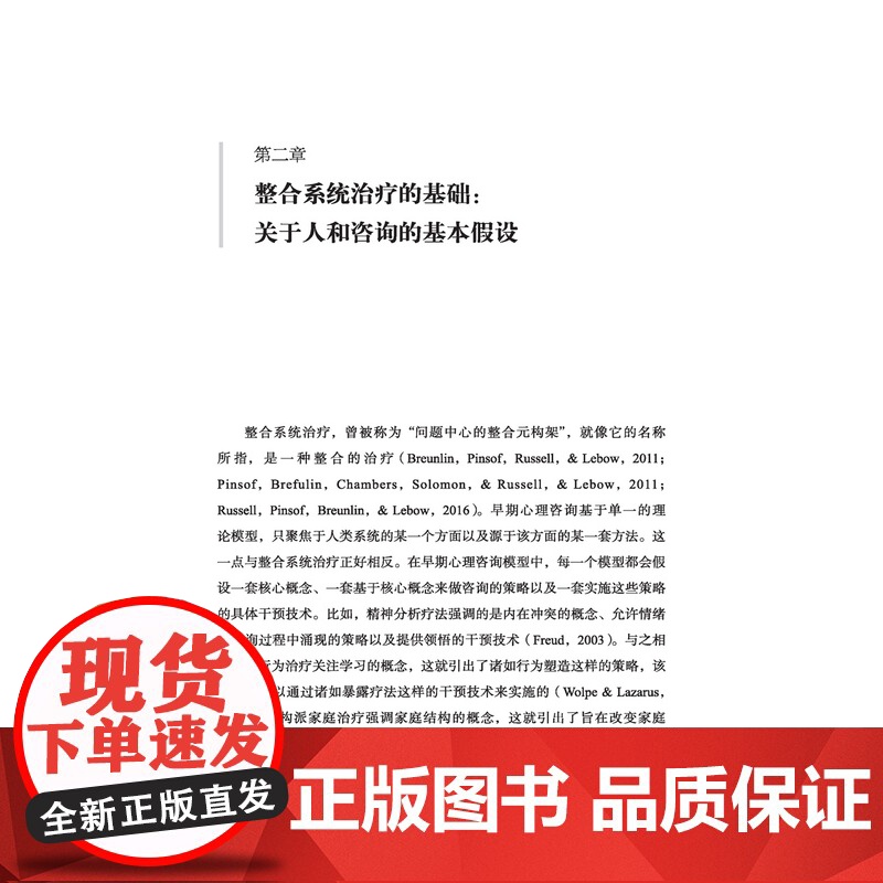 书预售]万千心理.整合系统治疗 解决个人伴侣和家庭问题的心理治疗元构架 家庭系统治疗师心理咨询与治疗家庭治疗伴侣治疗婚姻高清大图