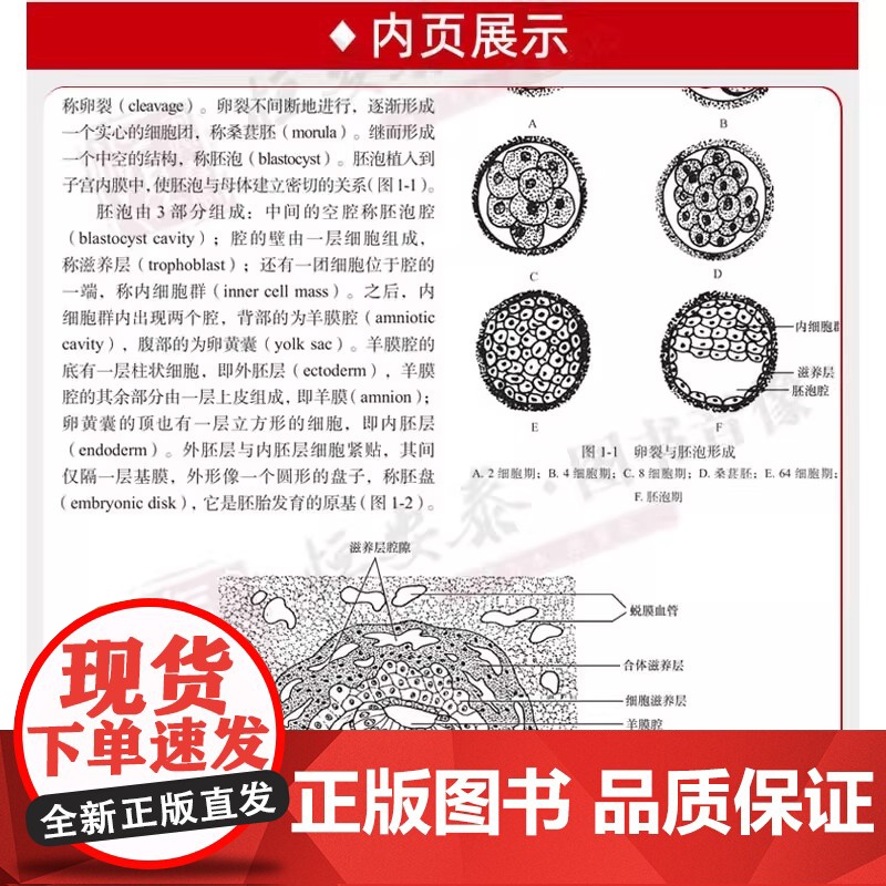 临床血管外科学 第5版 蒋米尔 重点介绍血管外科的基本理论 基本知识和基本操作 增加血管外科护理学相关理论和实践技能高清大图