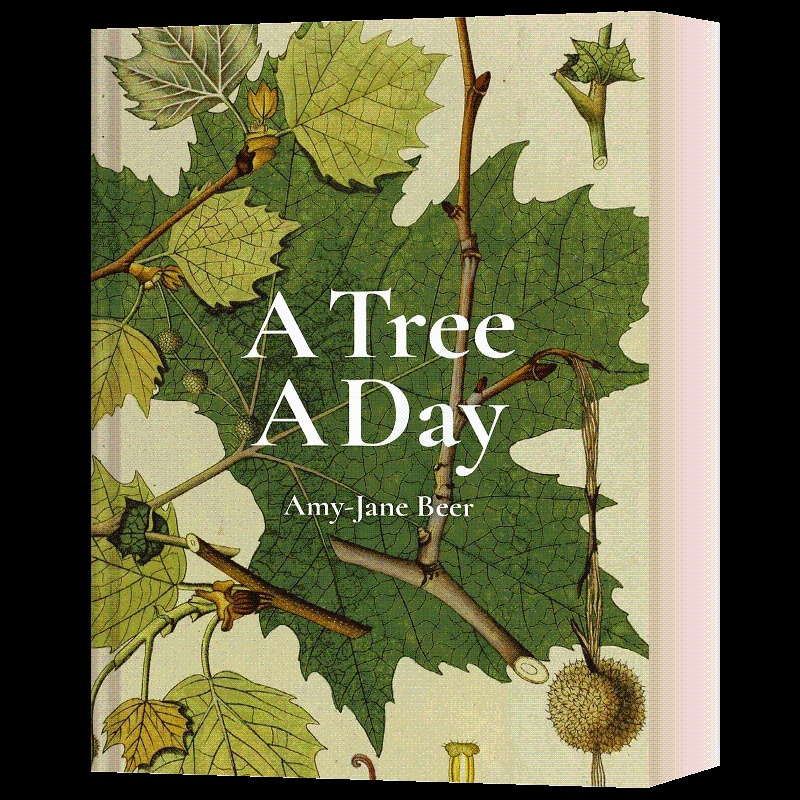 [醉染正版]自然植物百科科普彩图图集 精装 A Tree A Day Amy-Jane Beer 英文原版科普读物 进口高清大图