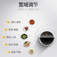 华帝百得(BEST)燃气灶灶具双灶内嵌两用嵌入式天然气家用玻璃灶DZ37B