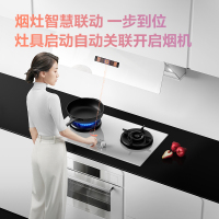 [国补20%]方太联动5.0KW火力一级能效方太新月燃气灶天然气02-THF1白灰百搭厨房 白色 02-THF1-W
