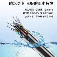 博扬 GYFTY-12B1.3 12芯室外非金属光缆 层绞式非铠装单模光纤线 管道光缆防强电击穿 100米 可定制长度