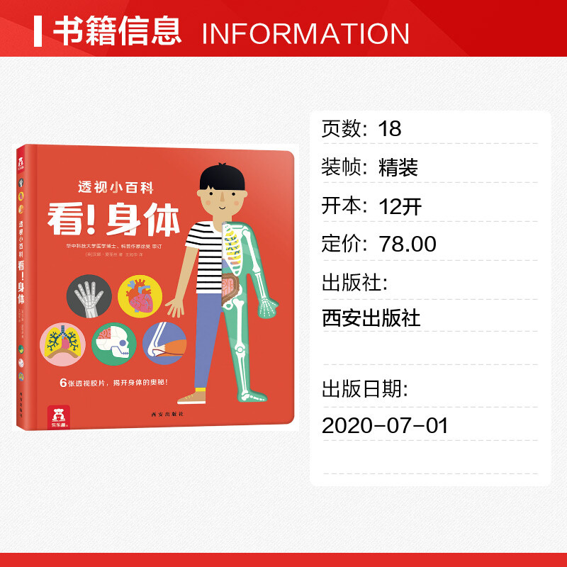 透视小百科 看!身体 [正版]文轩透视小百科看!身体儿童3d立体书科普书籍我们的身体3-6-8岁小学生启蒙认知阅读绘本1