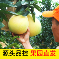 福建平和琯溪红心蜜柚2斤/5斤/9斤 红心柚子红肉新鲜当季水果