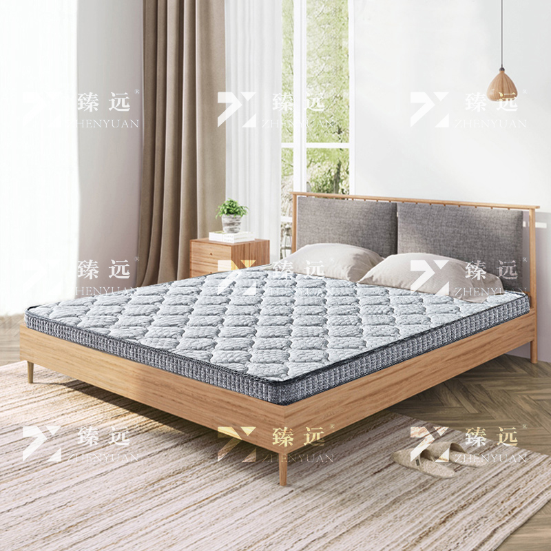 臻远 ZY3120213 棕垫护脊3E椰棕床垫1800*2000高清大图