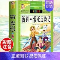 [正版]汤姆索亚历险记原著小学生青少年课外书阅读三四五六年级下册课外阅读书籍10-15岁4-5-6年级