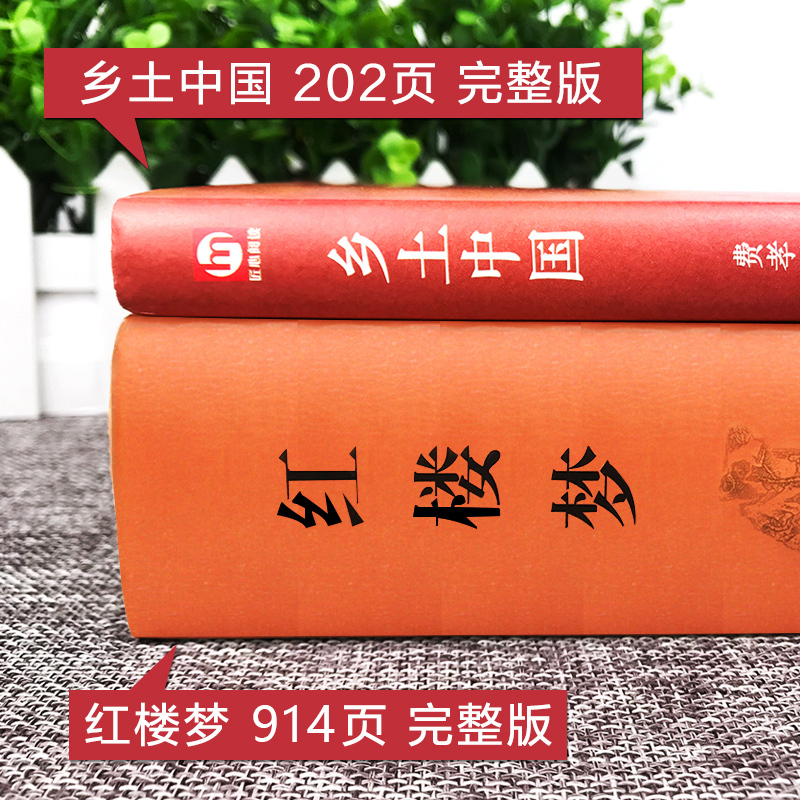 [完整版]全10册 大卫·科波菲尔+战争与和平+飘+悲惨世界+基督山伯爵 [正版]乡土中国红楼梦 高中课外阅读书籍必读语