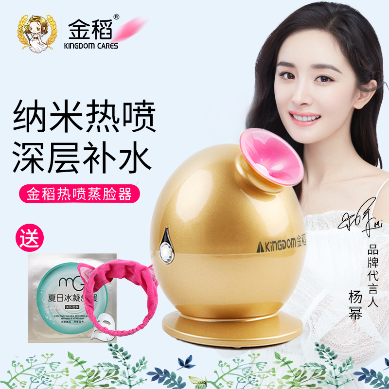金稻(kingdom)热喷蒸脸器 KD233A 家用美容 纳米离子保湿补水仪 脸部加湿器 喷雾机 蒸脸机
