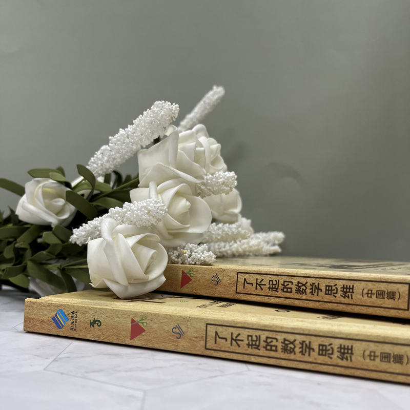 [正版]阳光博客《了不起的数学思维》(中国篇)场景式全彩插图