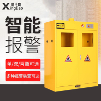 星岛全钢单双三瓶气瓶柜实验室乙炔气体存储柜甲烷氧气工业防爆气瓶柜两个存储柜