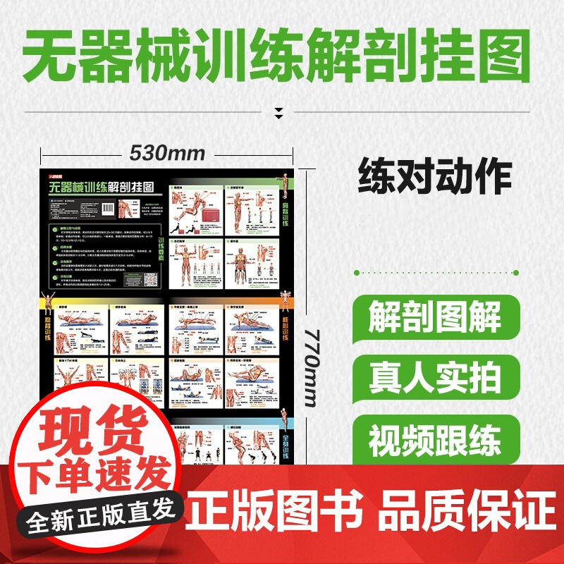 无器械训练解剖挂图 预计发货07.28高清大图