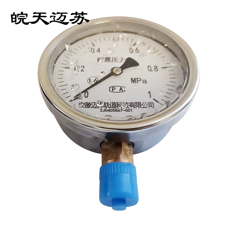 皖天迈苏 耐震压力表 YN-100 块高清大图