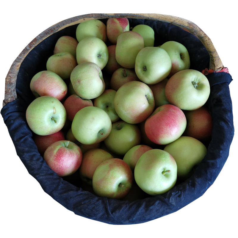 中华特色阿坝州馆嘎啦苹果约5斤佳丽果青红嘎拉新鲜水果随机发货