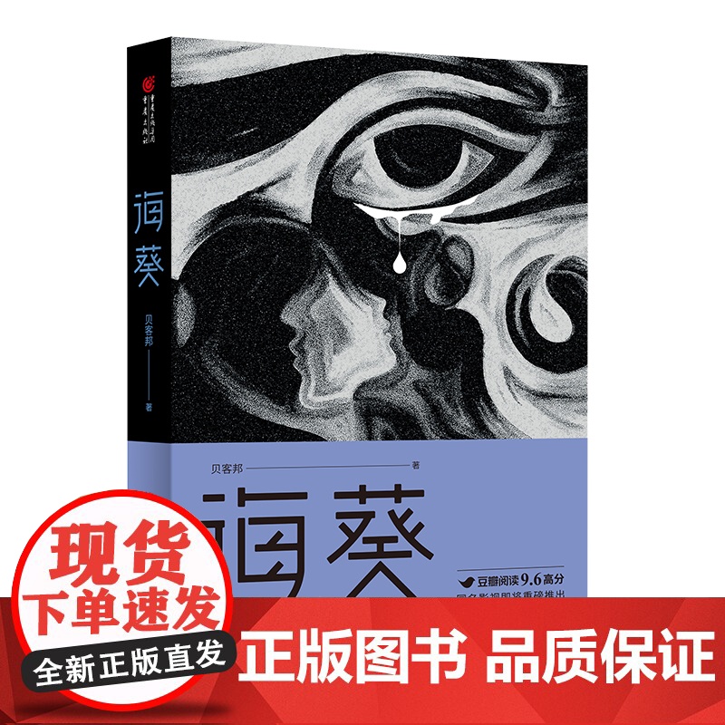 海葵《消失的孩子》原著小说白鸟坠入密林作者芒果TV豆瓣阅读征文大赛头奖、小雅奖励获奖作者贝客邦社会派悬疑开山力作小高清大图