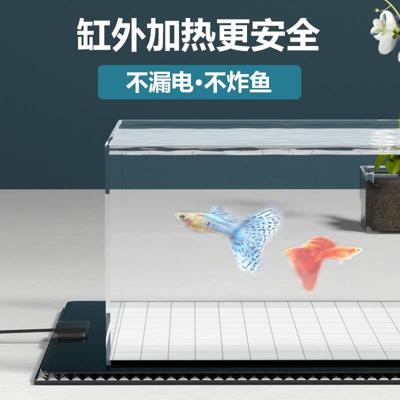 鱼缸加热垫自动恒温乌龟迷你爬宠加温加热器低水位小型龟缸加温器图片