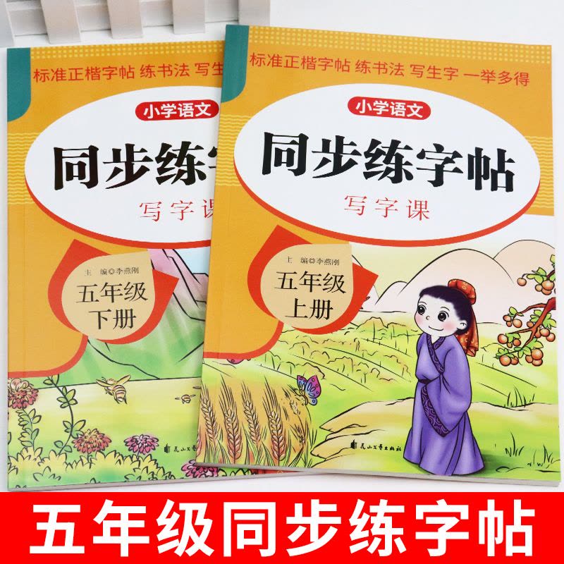 [单册]同步练字帖 五年级下 [正版]五年级上册下册同步字帖每日一练人教版 小学语文字帖练字小学生钢笔5上练习册练字帖临图片